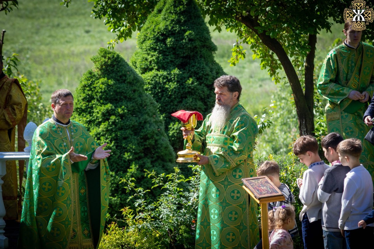 Gallery Image 12