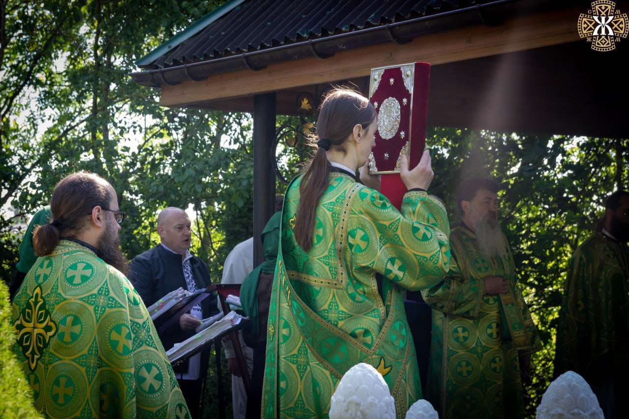 Gallery Image 6